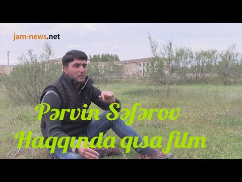 Pervin Seferov Haqqinda