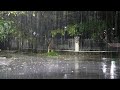 TRY TO FALL ASLEEP with Heavy Rain & Calm Thunder Sounds for Sleeping - Real Rain and Thunderstorms