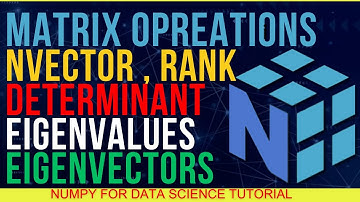 What Are Vector , Matrix ,Rank , Eigenvalues ,Eigenvectors , Determinant etc. in NumPy