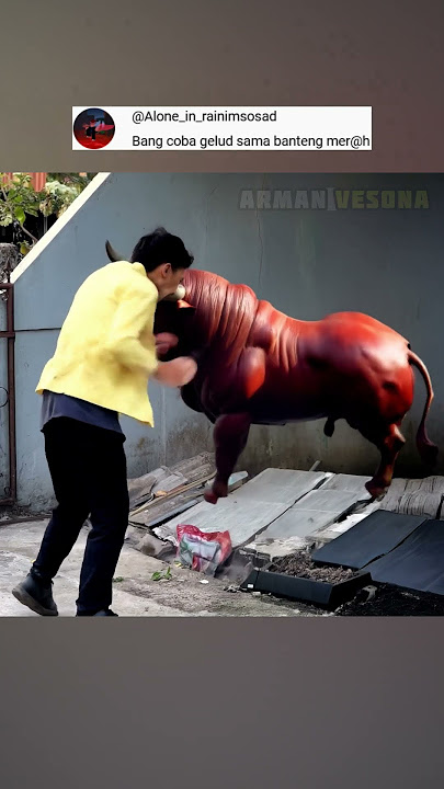 Gelud Banteng Merah