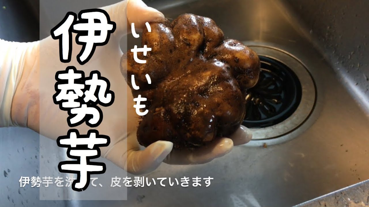 伊勢芋の皮むきとすりおろし方 Youtube