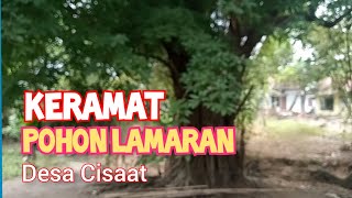 Mengungkap misteri Kramat pohon Lamaran Desa Cisaat