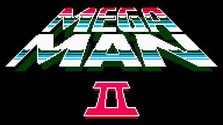 Password (2012 Remaster) - Mega Man 2 Details