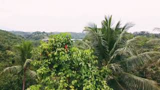 Lokasi baru pembangaunan Closed House