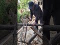 Rural Craftsman #Hot Topic Rural Photography, Traditional Pure Handmade Carpenter Craftsm#592a6