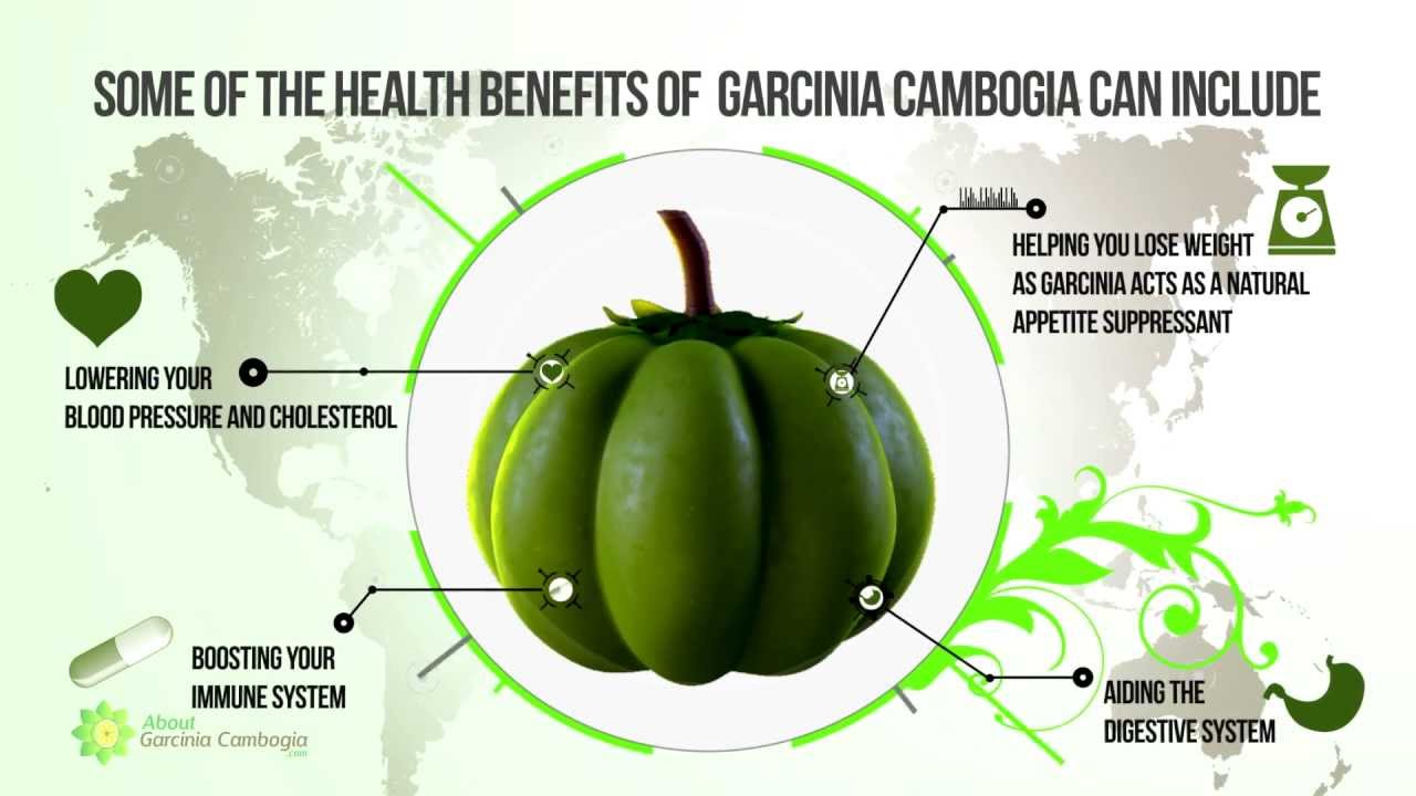 Garcinia Cambogia InfoGraphic Movie - Facts and Details