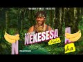 Alien skin - Nekesesa (Official Audio Music )