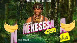 Alien skin - Nekesesa (Official Audio Music )