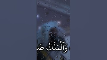 سورة الفجر #yasseraldossary #اكسبلور #duet #المصحف_المرتل