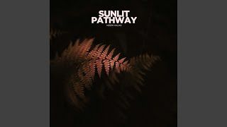 Sunlit Pathway