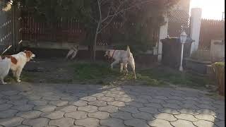 20200404 174914