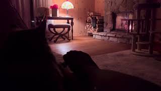 ASMR more feet in nylons with my cat by the fire