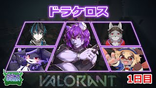 【＃VALORANT】【銀蓮花視点】第二回！！ぶーぶカスタム開催！1日目【＃新人Vtuber】