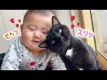 【赤ちゃん大好き猫】本当の兄弟のような愛情が溢れ出る✨