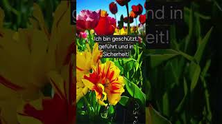 Algiz! Göttlicher Schutz und die Kraft gesunder Grenzen! 3.Mai 2026