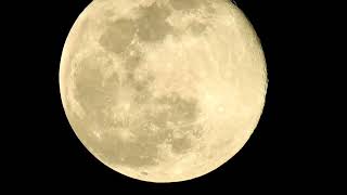 Thumbnail Moon Phase for today: Jan 07, 2023