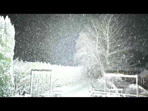 Imalent MS08 vs a little snow