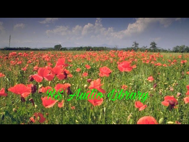 FynestLyk - Noir Et Blanc Vie.। RS Audio Library ।