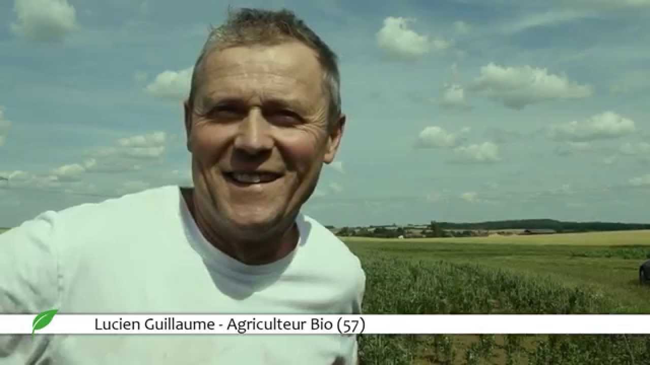 Le drainage agricole - Mr Guillaume Agriculteur Bio