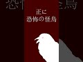 【雑学】恐怖のヴァンパイア、鳥さんを襲う #shorts