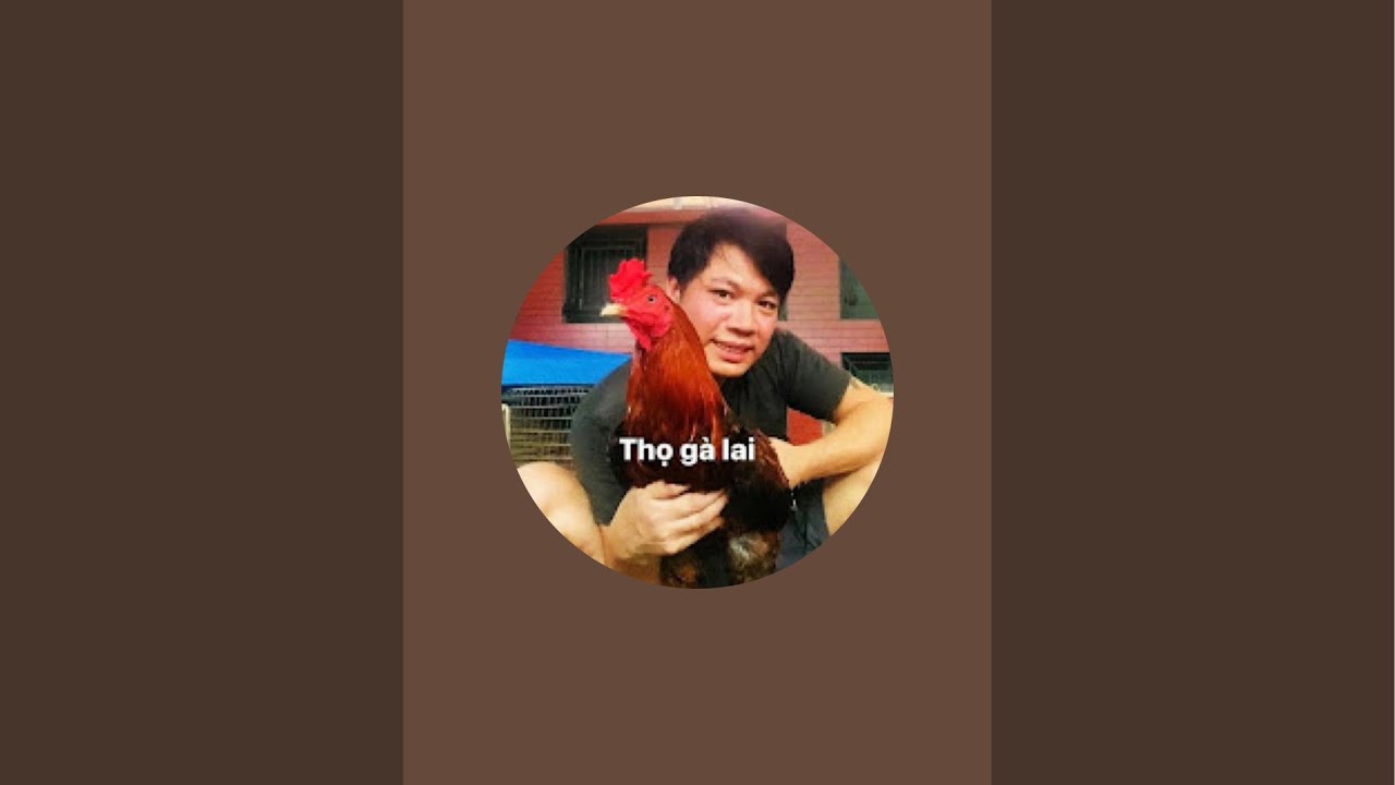 ve mua nay ga con hay bi đậu va ký sinh trùng đường máu.