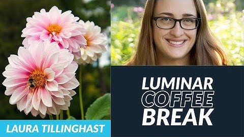 Luminar Coffee Break: The world of macro photography