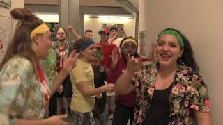 SIDM 2017 Lip Dub Video