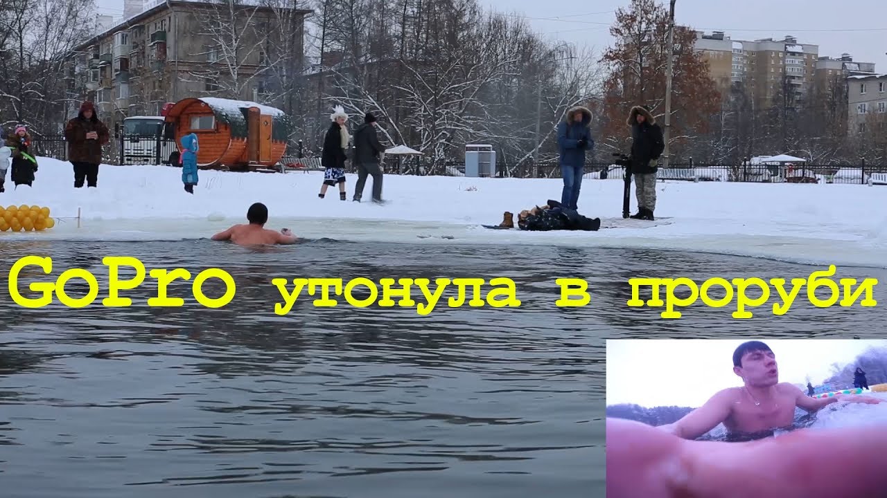 Моржи прикол закаливание. Закаленные прикол.