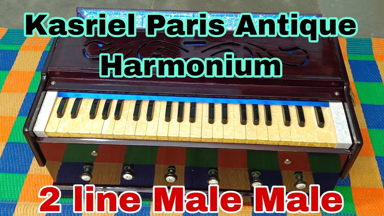 Kasriel Paris Reeds Male Male Vertical Model 2 Line Excellent Condition ...