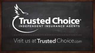 Insurance 101