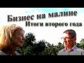 Бизнес на малине: подводим итоги 2- года/Опыт новичка