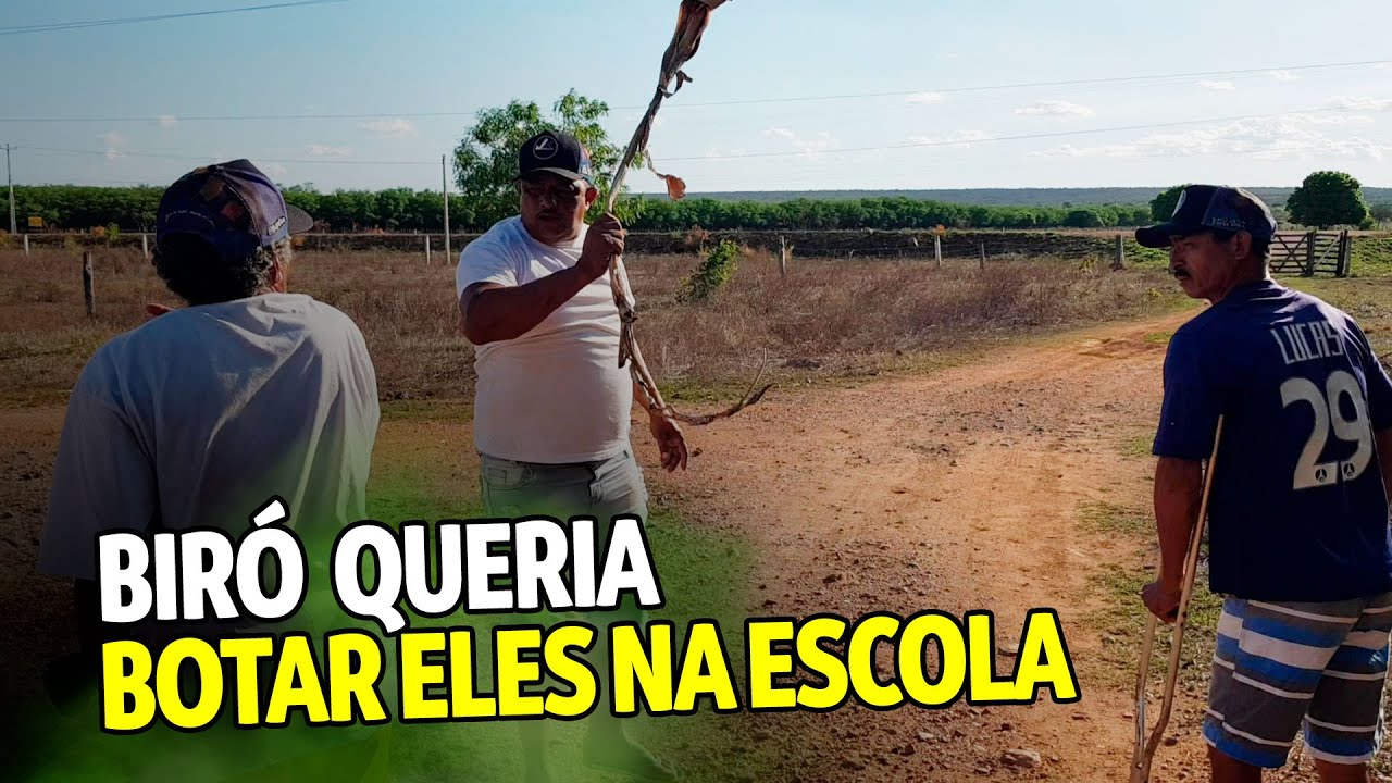 bir-desistiu-de-botar-eles-na-escola-canal-do-nego-bir-youtube