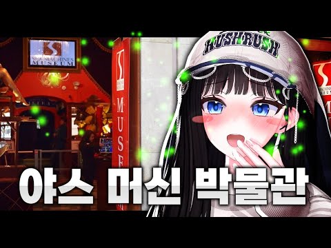 지식이 늘었습니다