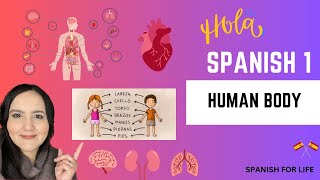 HUMAN BODY VOCABULARY IN SPANISH/ BODY PARTS AND ORGANS IN SPANISH/#humanbody #humanbodyfacts