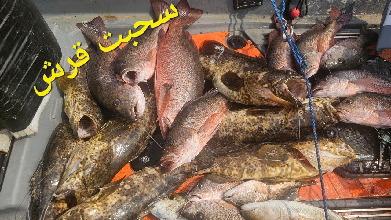 الصيد الفاخر/طلعة كاياك