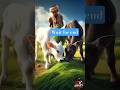 animal video || किसान और बछड़े का प्यार #shorts