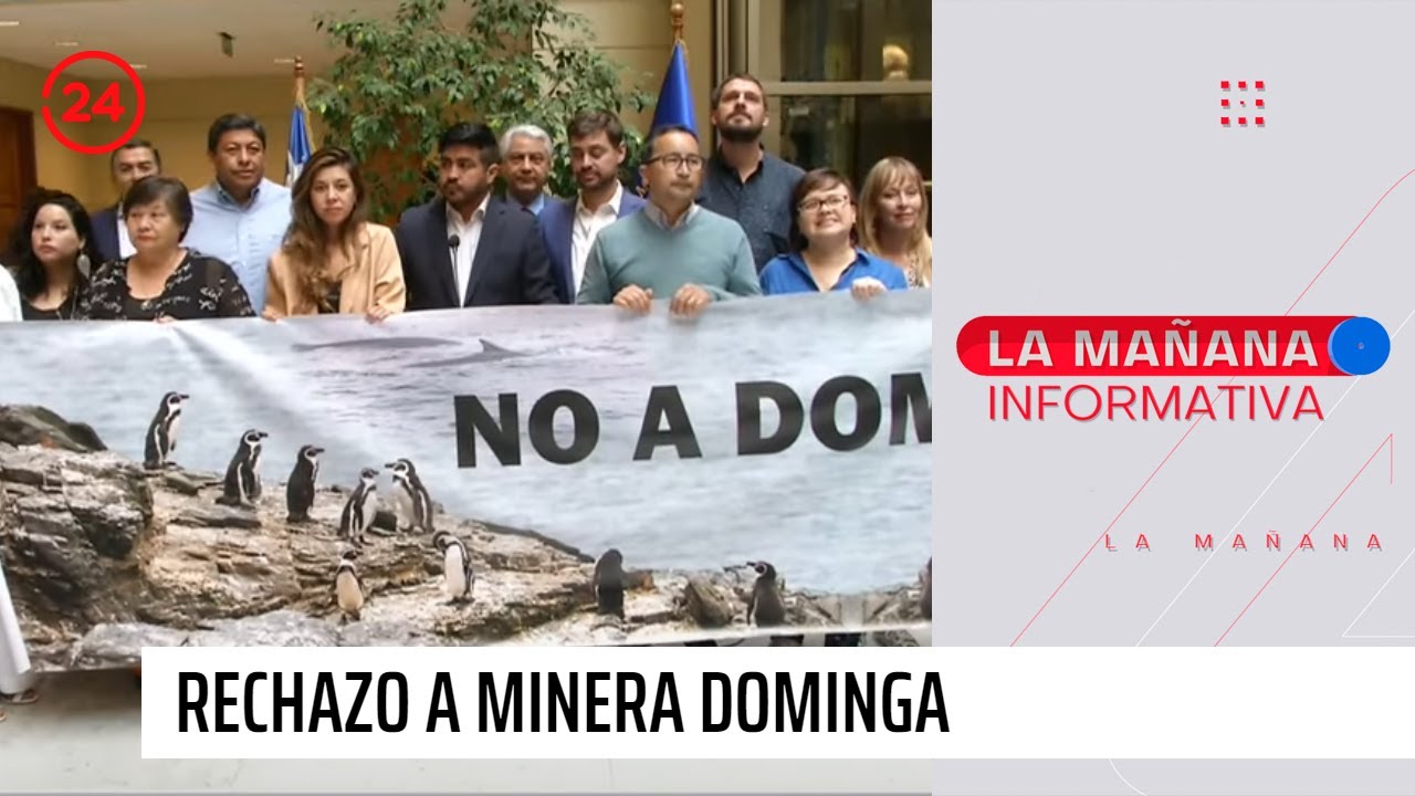 Diputados y diputadas oficialistas piden a Comité de Ministros rechazar proyecto minero Dominga