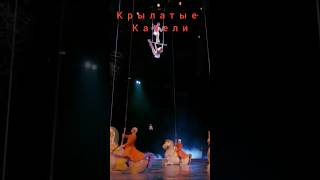 Крылатые качели. Е.Крылатов,Ю.Энтин