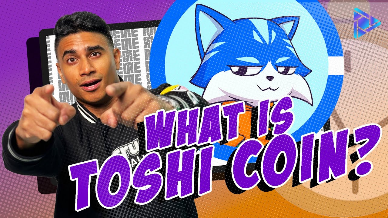 Toshi Coin Explained in 1 Minute | Meme Minute