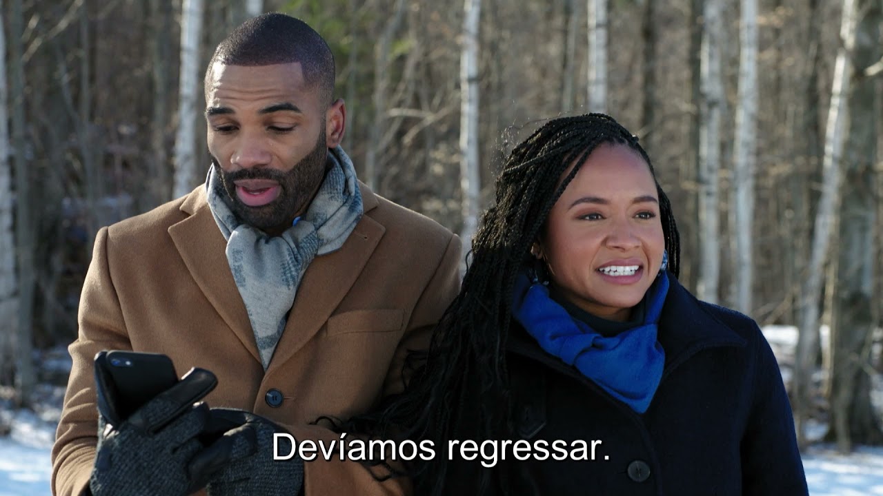 OPTO | A Christmas Stray