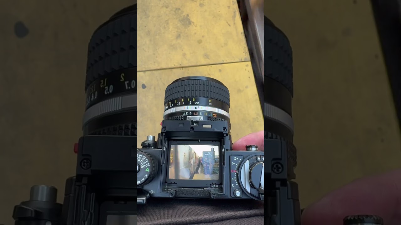 Nikon F3 & Cinestill 800t 