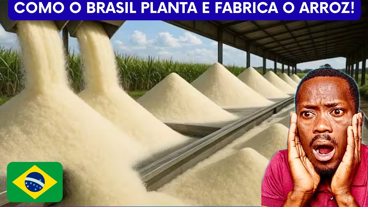 Africano Reage COMO É PRODUZIDO O ARROZ BRANCO? #brasil #arrozintegral 