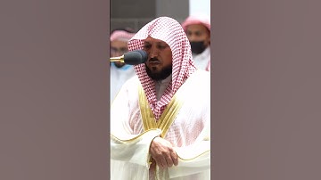 وقضى ربك ألا تعبدوا إلا إياه وبالوالدين إحسانا ۚ~تلاوة خاشعة للشيخ ماهر المعيقلي من صلاة الفجر اليوم