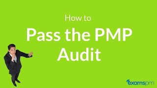 PMP Audit Process: How To Pass PMI Audit The First Time