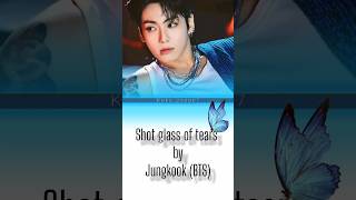 Jungkook   Shot Glass Of Tears   Golden Album  bts Easy S   Part 2