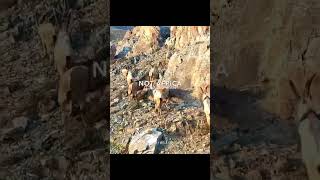 This Is Iran Can You Believe Part 2 -