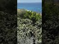 اغنية ونندم على العشرة عمر دياب