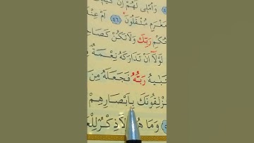 سورة القلم الأية 49 إلى 52 بصوت سعد الغامدي