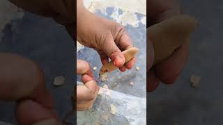 puli# aruvadai# கிராமத்தில் #shortsvideo