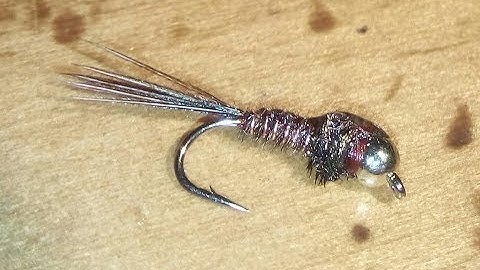 How to Tie   Flashback Pheasant Tail Nymph
